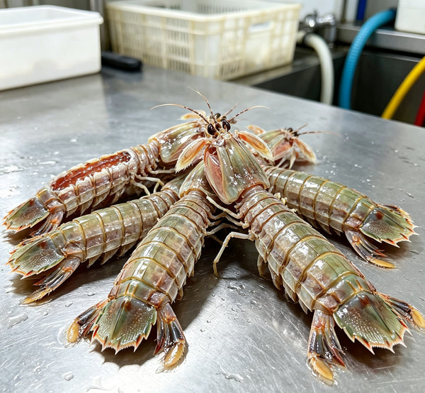 Fresh Seafood Delight: Crisp, Tender, and Flavorful