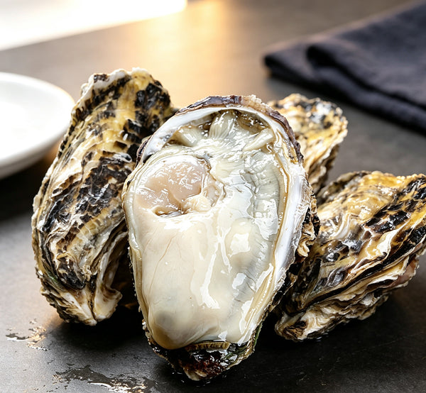 Fresh Ocean Delight: Plump and Juicy Oysters